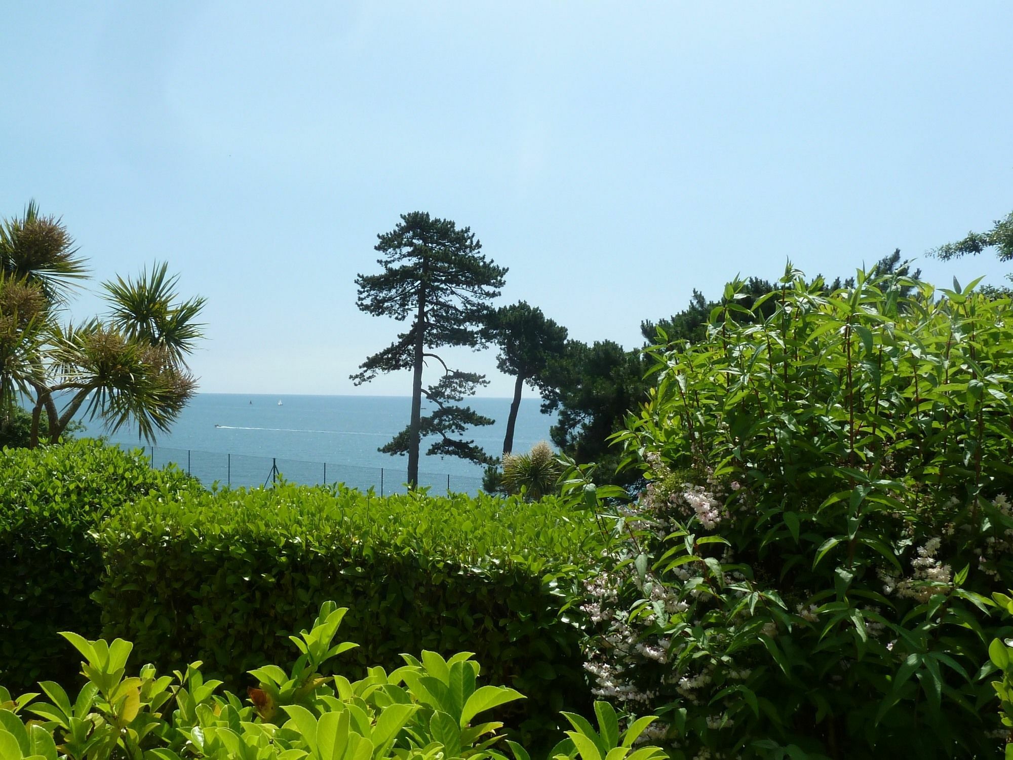 Tramontane Apartment At Hesketh Crescent Torquay Exteriér fotografie
